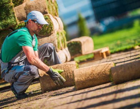 Caucasian Turf Grass Installer. Replacing Old Lawn with Fresh Natural Grass.